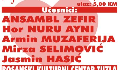 samir_okic_plakata