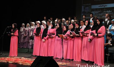 img0996vt
