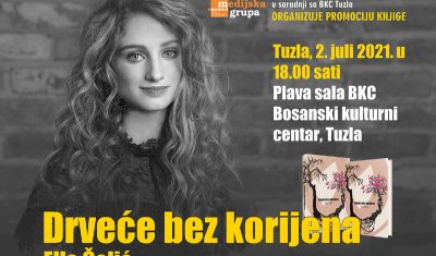 2806 drvece bez korijena